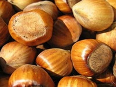 arbre fruitier noisetier fertile du coutard